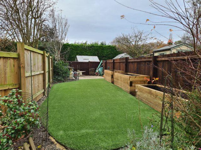 Narrow Lawn Replaced